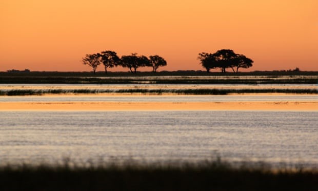 imagem é uma paisagem africana