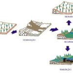 Recuperação pós-mineração